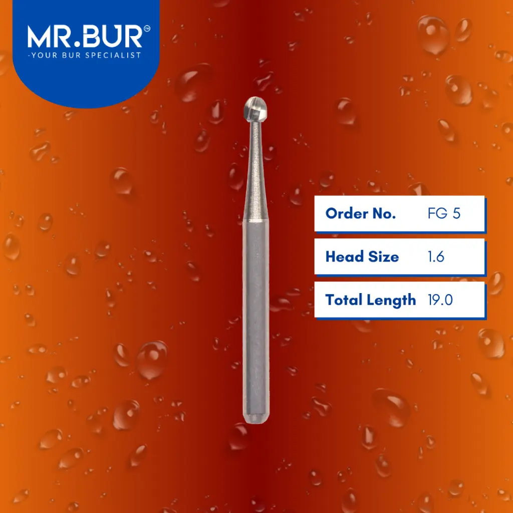 Carbide-Round-Carbide-19mm-FG 5.webp