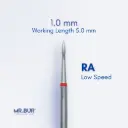 RA DIAMOND ROOT PLANING / SUBGINGIVAL SCALING