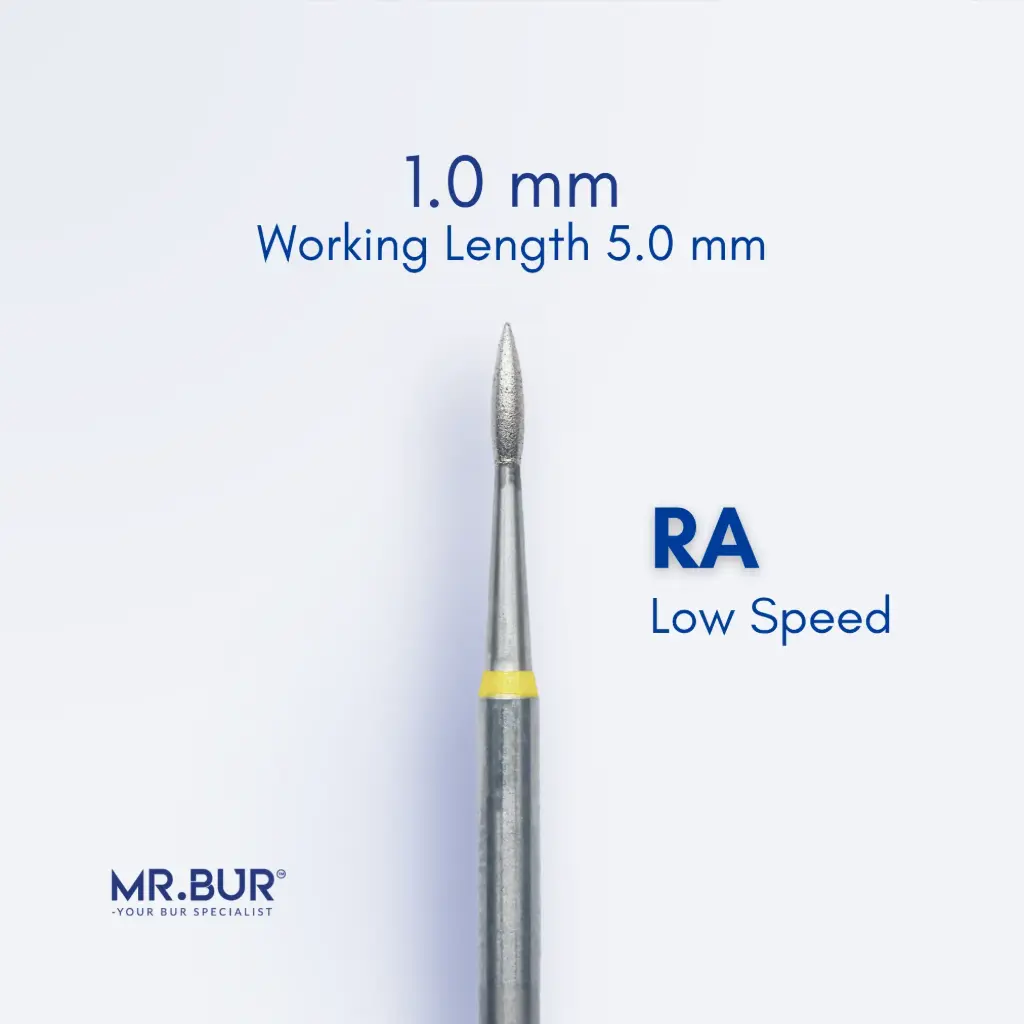 RA DIAMOND ROOT PLANING / SUBGINGIVAL SCALING