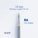 RA DIAMOND ROOT PLANING / SUBGINGIVAL SCALING