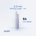 RA WHITE STONE